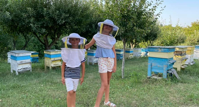 Пчелари правят неделно училище за деца