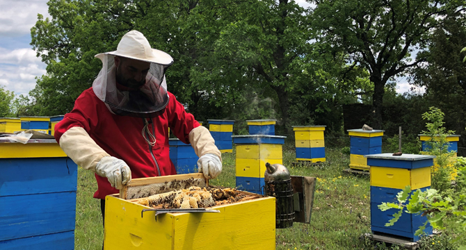 За светът на пчелите, кой мед е истински и как се развива една пчелна ферма у нас